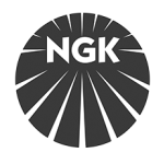 NGK Spark Plugs