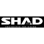 Shad